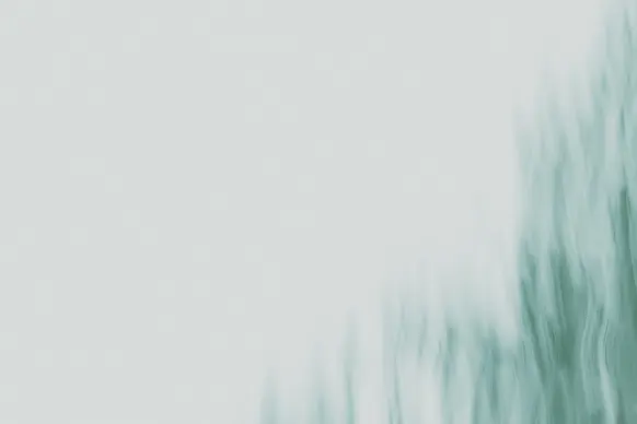 Casino Wild Tornado Podrška